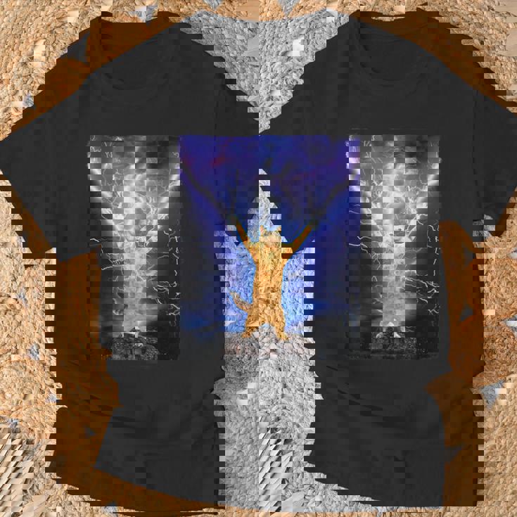 Cat Merch おかしな猫 稲妻 サンダーボルト オン マウンテン Tシャツ 高齢者への贈り物