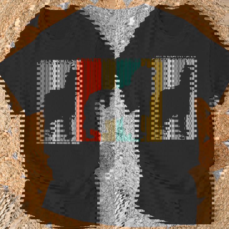 Cavalier King Charlespaniel キャバリア・キング・チャールズ・スパニエル Tシャツ 高齢者への贈り物