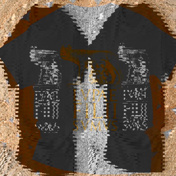 Cita Del Imperio Romano De Roma Antiguo Lobo Romano Camiseta unisex Regalos para ancianos