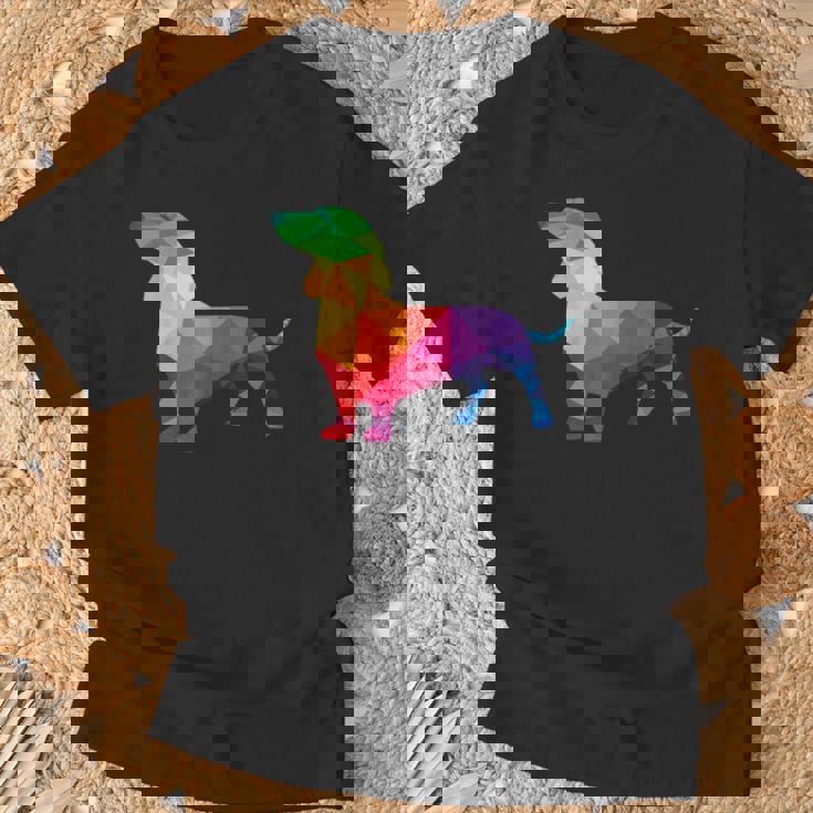 Dachshund Gay Pride Lgbt Lgbtq Rainbow Flag Dog Lovers Tシャツ 高齢者への贈り物