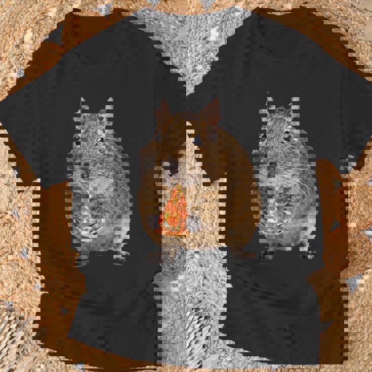 Degu Eating Alice Of Pizza Tシャツ 高齢者への贈り物
