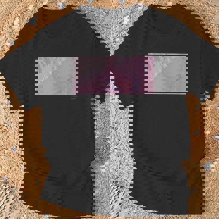 Dim The Lights 008 メンズ ロック ライブ フェス バンド ピアノ 音楽 おしゃれ 男女兼用 キッズ Tシャツ 高齢者への贈り物