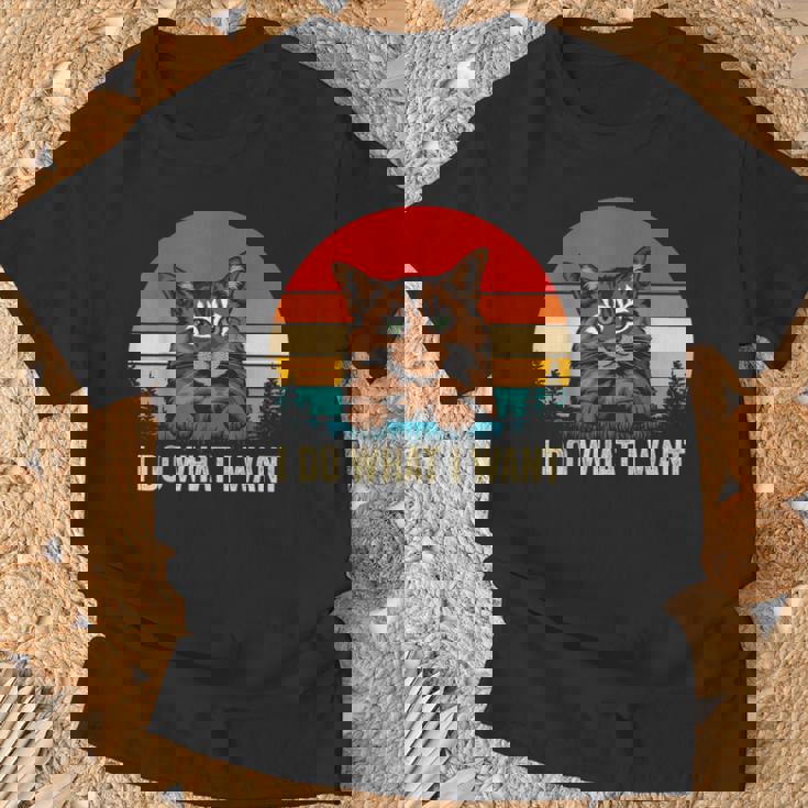 I Do What I Want Cat レトロ ヴィンテージ 面白い 猫好き Tシャツ 高齢者への贈り物