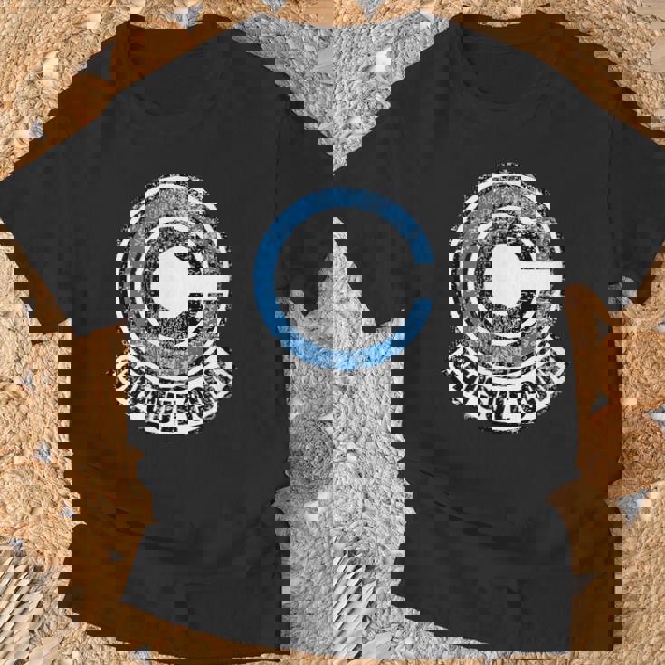 Dragon Capsule Ball Corp レディース メンズ Tシャツ 高齢者への贈り物