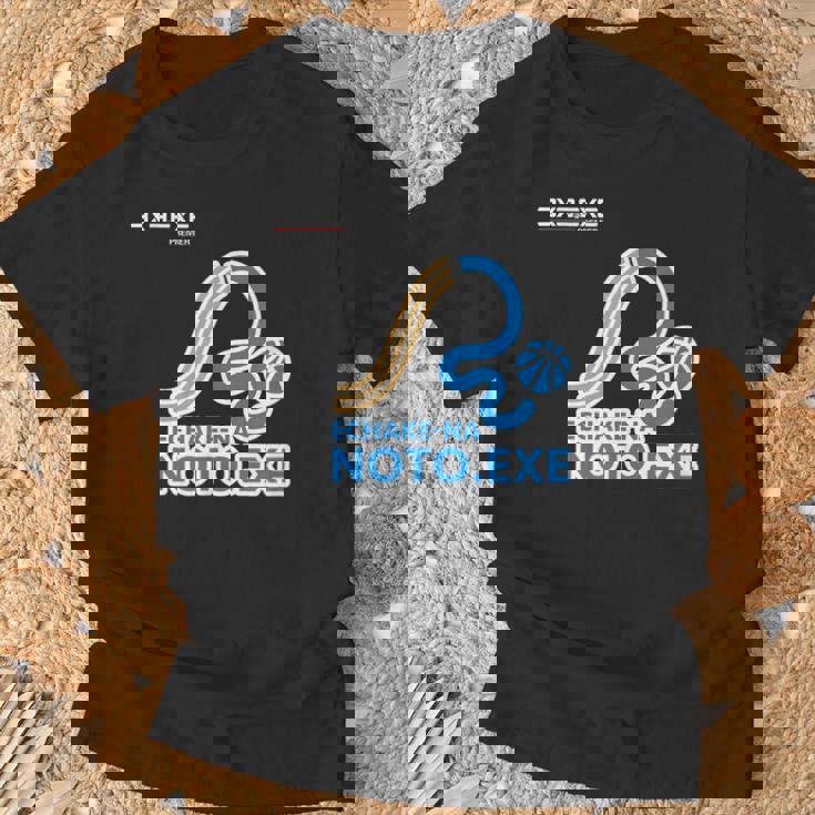 Echake-Na NotoExe_21_浅間 美紀 Tシャツ 高齢者への贈り物