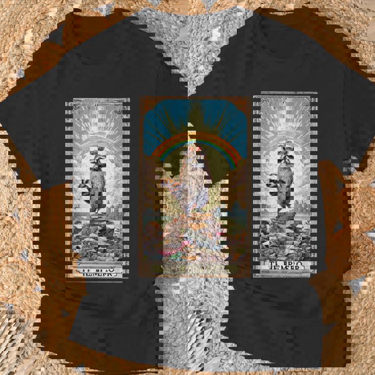 The Emperor 面白いアライグマ タロットカード ミスティックアライグマ Tシャツ 高齢者への贈り物
