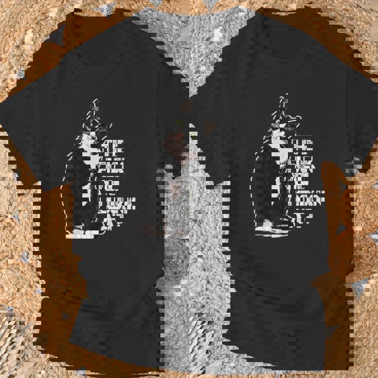 The Fuck You Lookin At 猫好きのための面白い下品なノベルティ Tシャツ 高齢者への贈り物