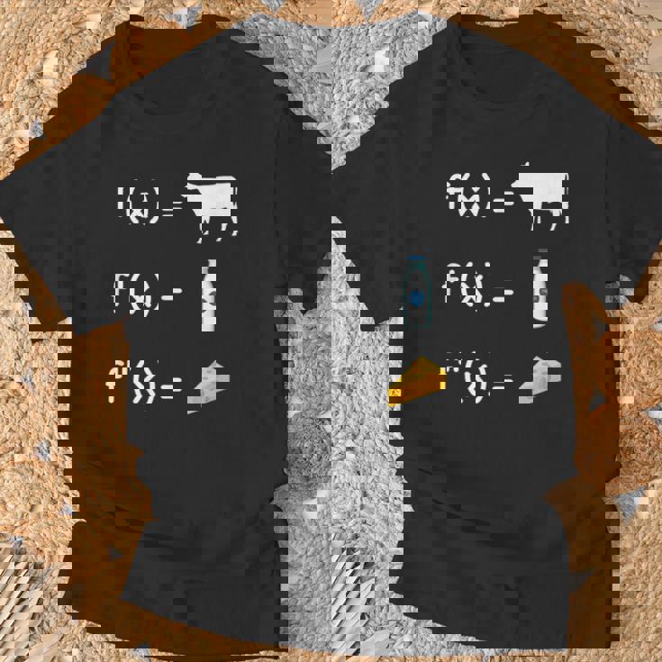 FX F'x F''x 関数 微分 微分積分 微分方程式 導関数 積分法 積分証明 数学好き Tシャツ 高齢者への贈り物