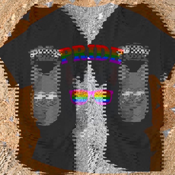 Lgbt Britishhorthair Cat Gay Pride Rainbow Lgbtq Kitty Tシャツ 高齢者への贈り物