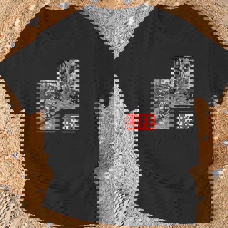 Life Picture Collection 猫（2） Tシャツ 高齢者への贈り物