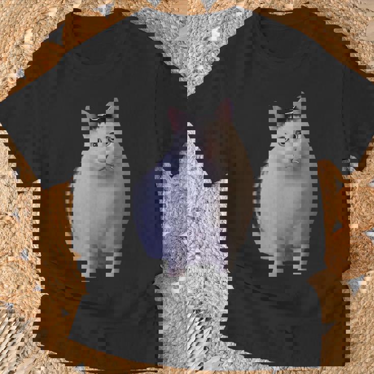 Meme Huh Catミームハァキャット面白い Tシャツ 高齢者への贈り物