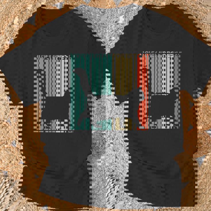 Norwegian Forest Cat ノルウェージャンフォレストキャット Tシャツ 高齢者への贈り物