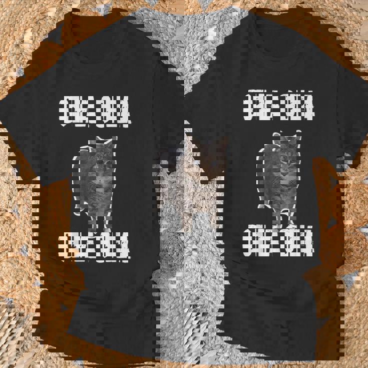 Oiia Oiia スピニング インターネット ミーム 猫 ユーモラス 面白い ブレイン Tシャツ 高齢者への贈り物