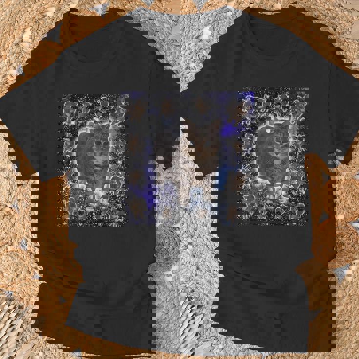 Oiiaa Oiiaa Cat Brainrotiralpining Cat Meme Tシャツ 高齢者への贈り物