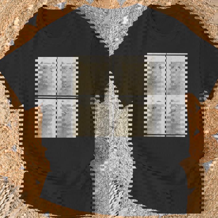 Photobooth おもしろ動物ネズミヴィンテージ自撮り写真撮影 Tシャツ 高齢者への贈り物