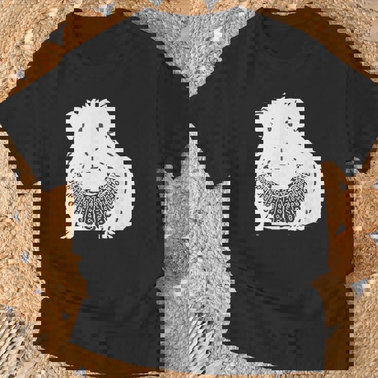 Rgbカラー付きモルモット ルース・ベイダー・ギンズバーグ Tシャツ 高齢者への贈り物