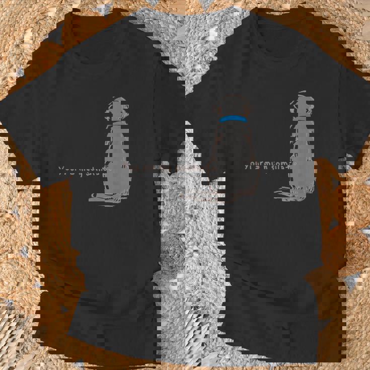 Soulmate ソウルメイト 犬 ワンちゃん わんこ ラブラドールレトリバー 運命 親友 メンズ レディース Tシャツ 高齢者への贈り物