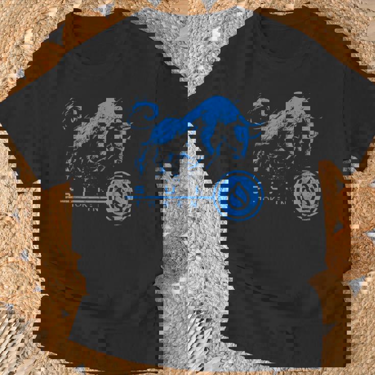 Suiコイン暗号ブルランhodlブロックチェーンで億万長者になる Tシャツ 高齢者への贈り物
