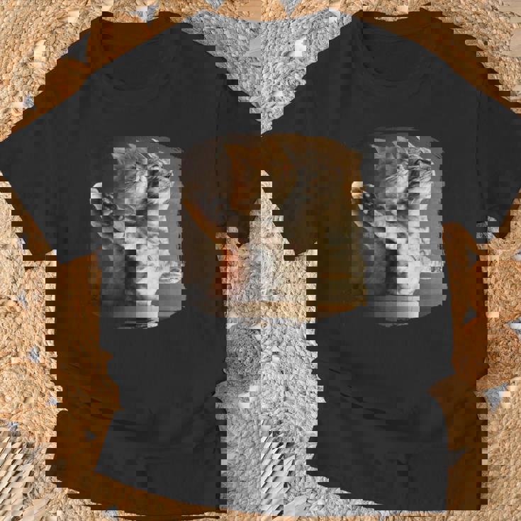 TitaniCムービーにインスパイアされた面白い猫好きのミーム。 Tシャツ 高齢者への贈り物