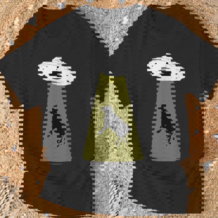 Ufo牛誘拐シャツ Tシャツ 高齢者への贈り物