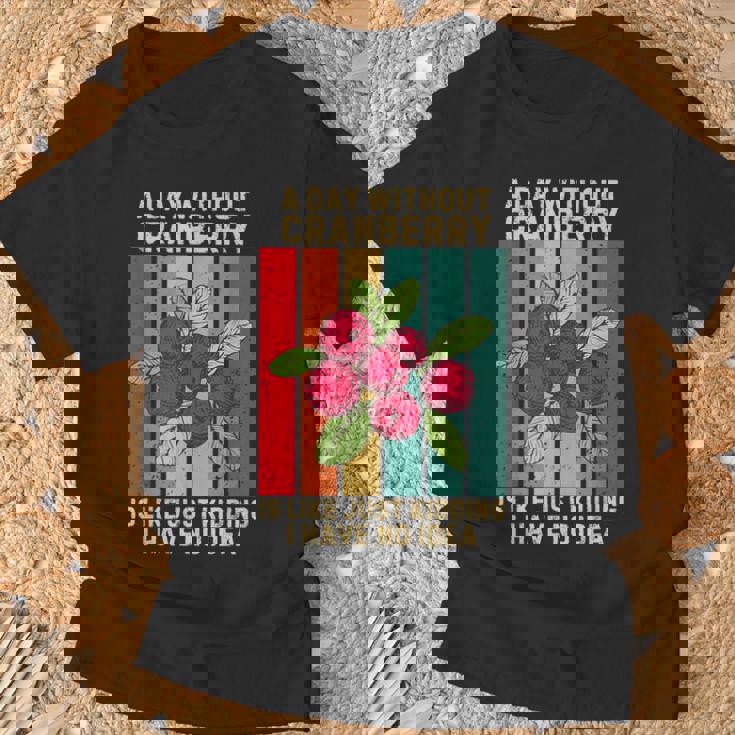 Vintage A Day Without Cranberry I Have No Idea クランベリー Tシャツ 高齢者への贈り物