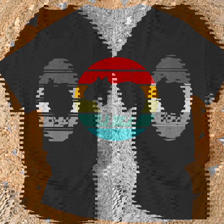 Vintage Retrounset Capybara Tシャツ 高齢者への贈り物