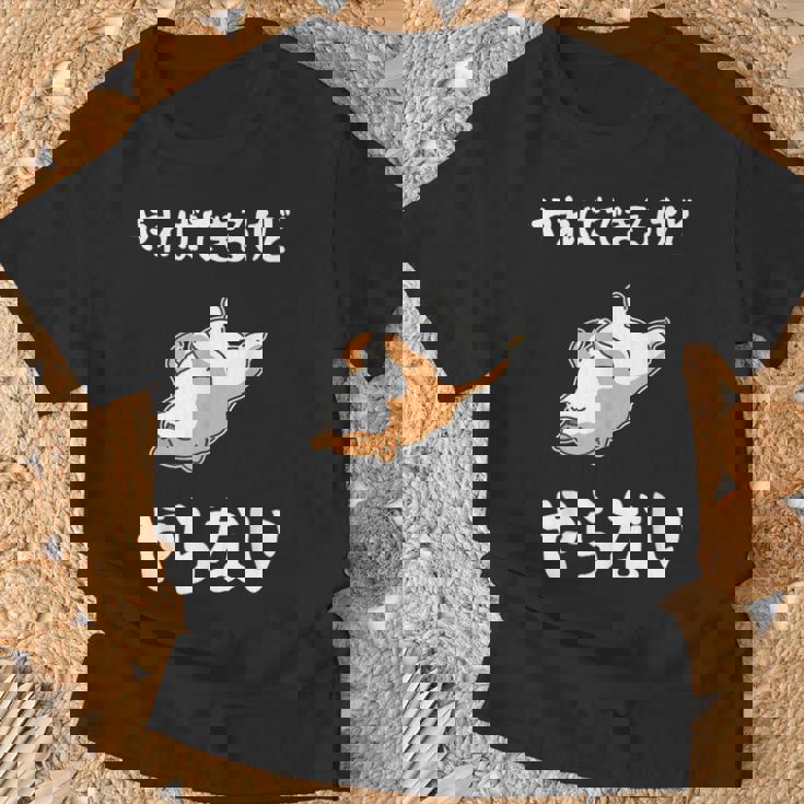 「やればできるけどやらない」柴犬 文字入り おもしろ 筆文字 面白い 服 面白い Tシャツ 高齢者への贈り物