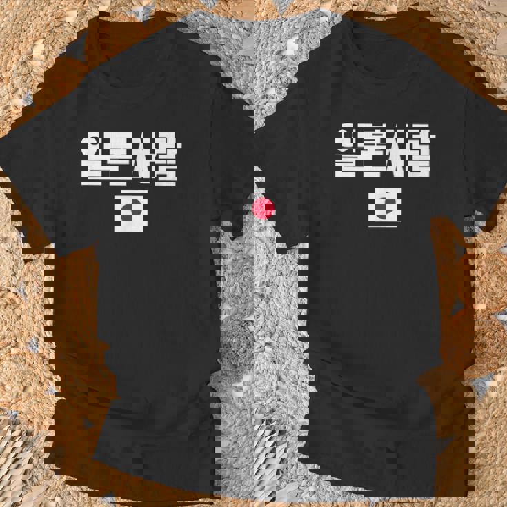 「日本人」 韓国ハングル&日本国旗 Tシャツ 高齢者への贈り物