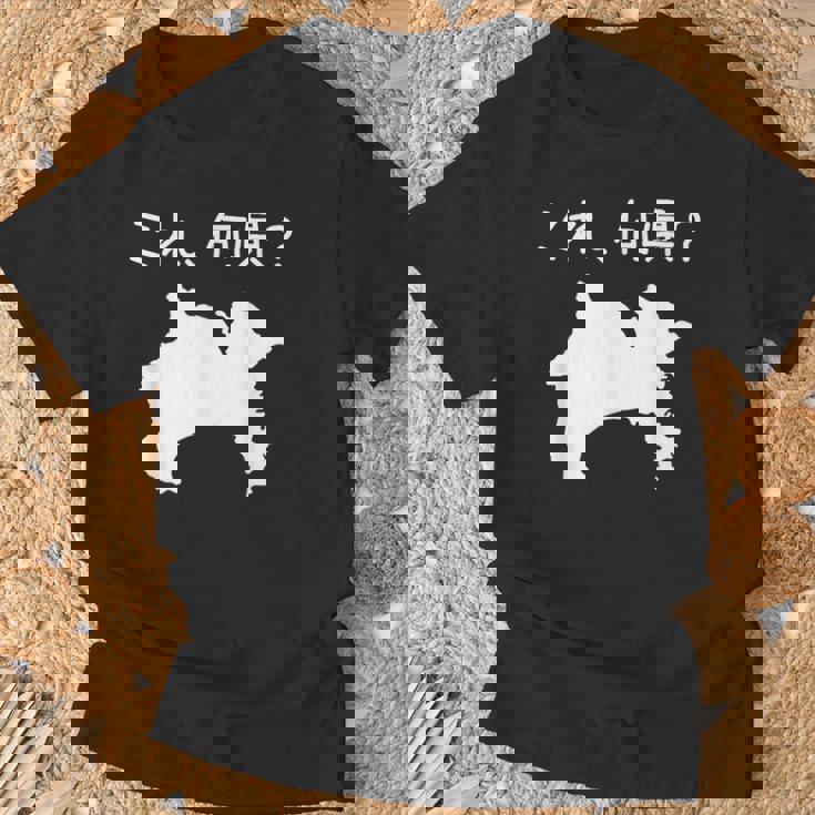 【これ、何県？】神奈川県 都道府県 クイズ 小学生 遊び心 パズル 地図 シルエット 地理 先生 おもしろ 面白い ネタ Tシャツ 高齢者への贈り物