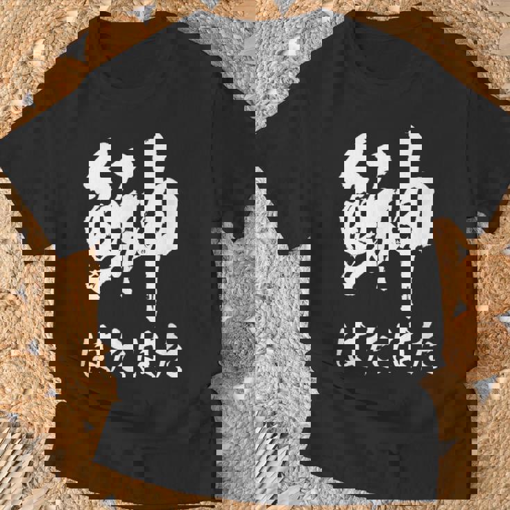 【鰰】はたはた 魚編 漢字 釣り 魚 刺身 寿司 おもしろ 面白い ネタ ウケ狙い 文字 外国人 ウケる 魚へん 文字 Tシャツ 高齢者への贈り物