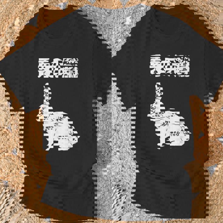 うさぎの撫で方の説明、うさぎ好き、うさぎの飼い主、プレゼント、おもしろうさぎ、うさぎ、 Tシャツ 高齢者への贈り物