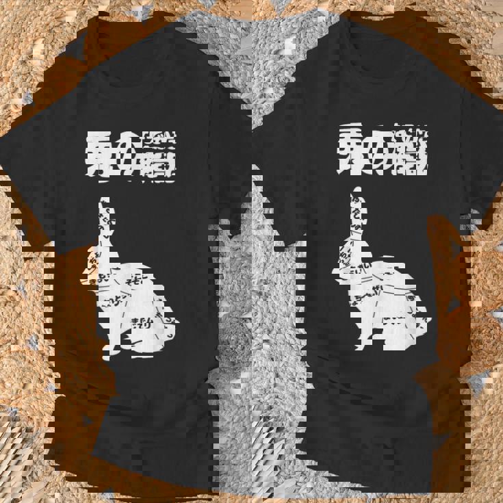 うさぎの撫で方解説 ウサギ好き うさぎ好き うさぎの飼い主 おもしろ うさぎ 兎 Tシャツ 高齢者への贈り物