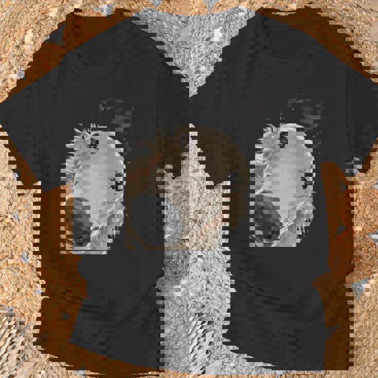 おさるの犬 バルソイ Tシャツ 高齢者への贈り物