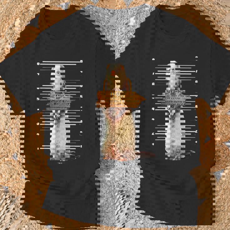 かわいいフェレット泥棒 面白い動物 Tシャツ 高齢者への贈り物