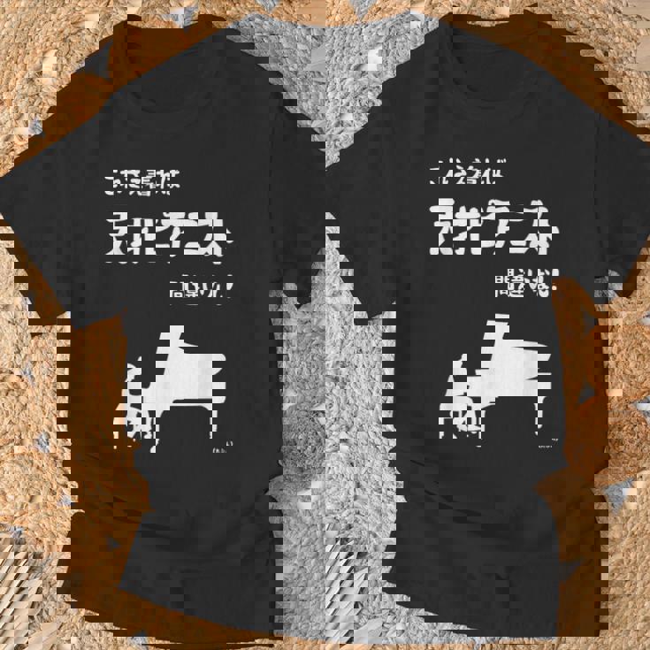 これを着れば天才ピアニスト間違いなし！ ピアノ クラシック音楽 ジャズ音楽 ピアノ好き 願掛け ゲン担ぎ Tシャツ 高齢者への贈り物