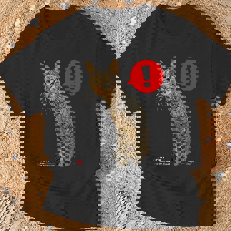 なにかをみつけたねこ、うずら 猫 かわいい キジトラ猫 Cat Tシャツ 高齢者への贈り物