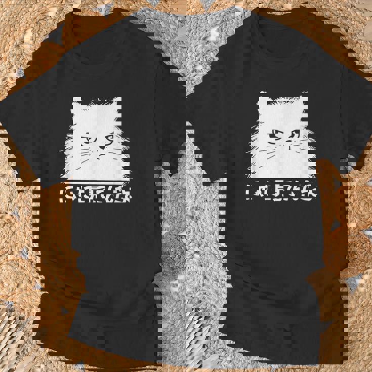 にゃに見てんだよ おもしろ 猫好き 猫飼い 猫 ネコ ねこ 猫 くろねこ好き 面白い サプライズ Tシャツ 高齢者への贈り物