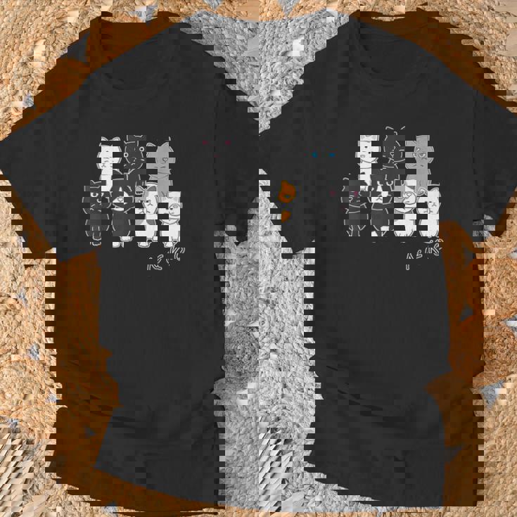 ねこさん『ウチノネコドコ』ハチワレ 黒猫 三毛猫 白猫 Neko【どうぶつフレンズ】フキゲンネコ 猫 動物 イラスト Tシャツ 高齢者への贈り物