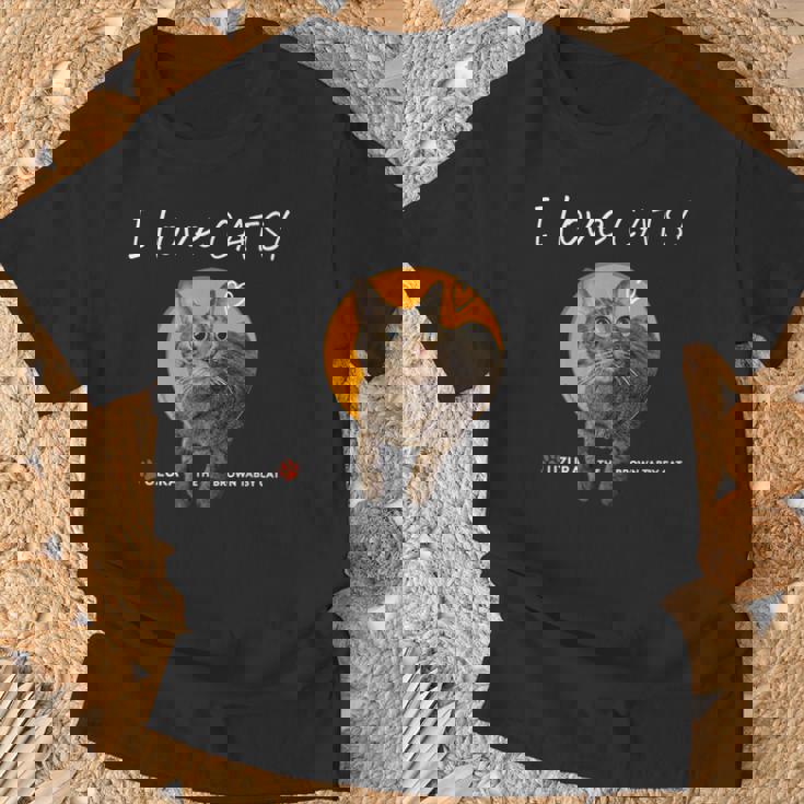 ねこだいすき 猫 キジトラ猫 かわいい Cat Tシャツ 高齢者への贈り物