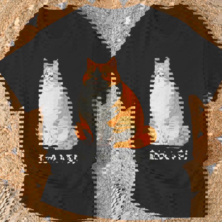 ねこのいいなり 猫 ネコ ぽっちゃり オレンジ猫 茶白猫 茶トラ白猫 イラスト 猫好き おしゃれ かわいい Tシャツ 高齢者への贈り物