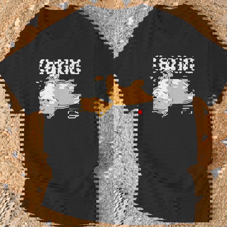 やる気スイッチ故障中 充電中 犬 柴犬 犬好き かわいい おもしろ 面白い Tシャツ 高齢者への贈り物