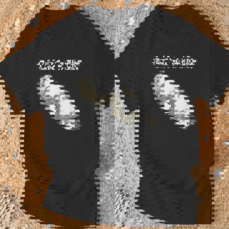 やる気スイッチ故障中 猫 にゃにもしたくにゃ 何もしたくない猫 おもしろ 可愛い ねこ ネコ 猫 ネコ 猫 柄 かわいい Tシャツ 高齢者への贈り物