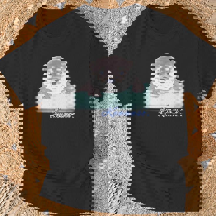 ゆるカワウソさん あそぶ？【 No2 】コツメカワウソ Tシャツ 高齢者への贈り物