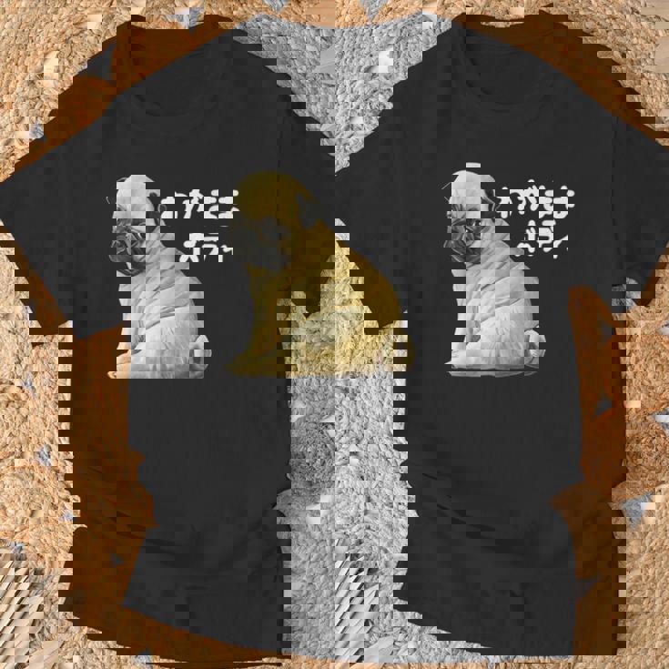 わがままボディ パグのチャーム満点デザイン 犬愛好家、ペットオーナー向け Tシャツ 高齢者への贈り物