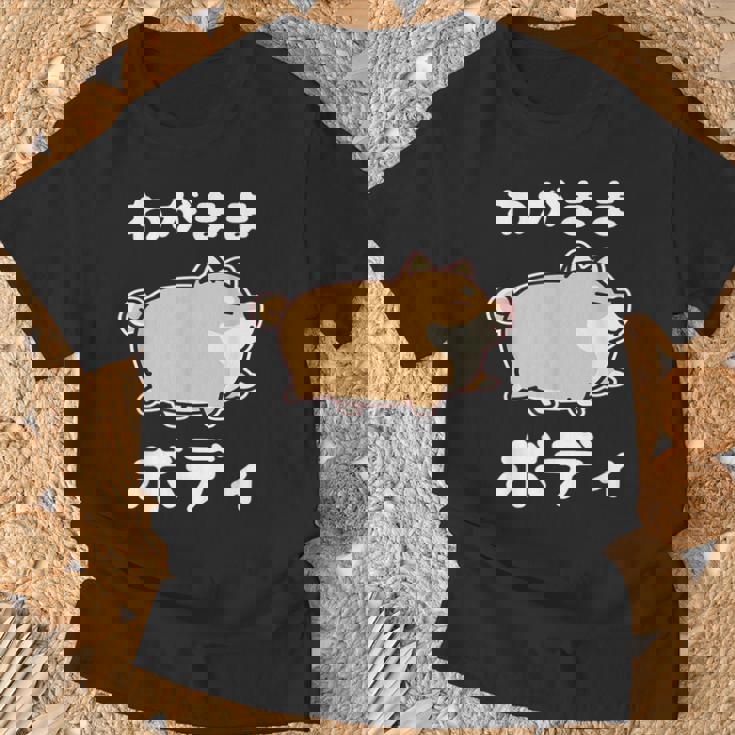 わがままボディ 犬 柴犬 太った柴犬 ぽっちゃり 犬好き かわいい おもしろ 面白い Tシャツ 高齢者への贈り物