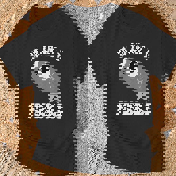 アイム・ジャスト・ア・ペブル・ダンディーズ・ワールド Tシャツ 高齢者への贈り物