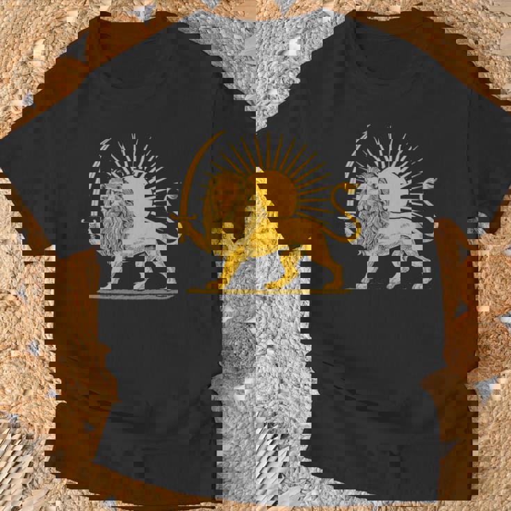 イラン国旗 ライオン サン ペルシャプライド イランtシャツ 長袖tシャツ Tシャツ 高齢者への贈り物