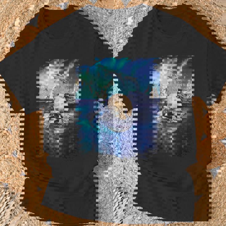 イルカと北のシロクマ、ライトとイルカ Tシャツ 高齢者への贈り物