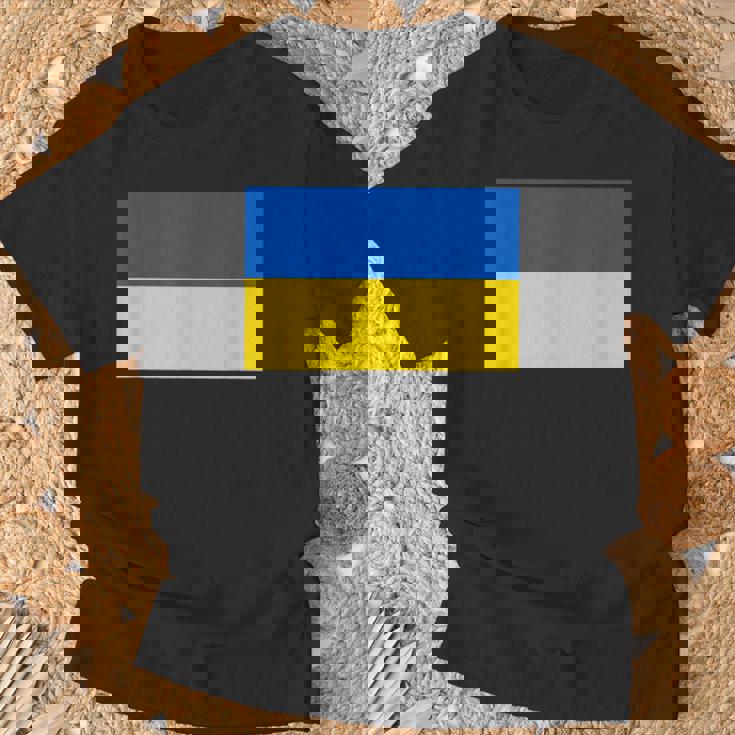 ウクライナ国旗デザイン Tシャツ 高齢者への贈り物