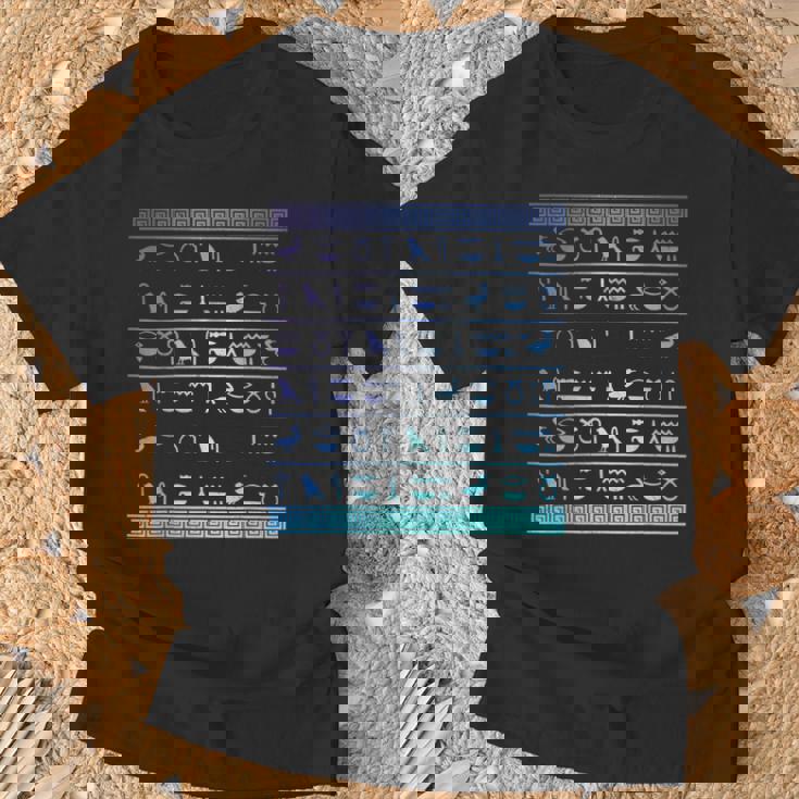 エジプトヒエログリフ古代エジプトの歴史 Tシャツ 高齢者への贈り物